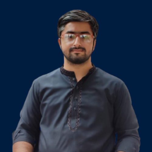 WordPress Developer