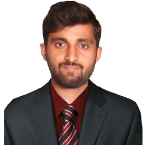 WordPress Developer